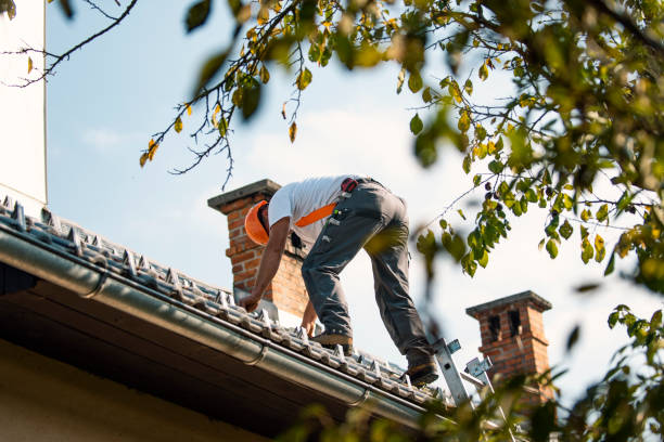 Best Steel Roofing  in Innotion, VA