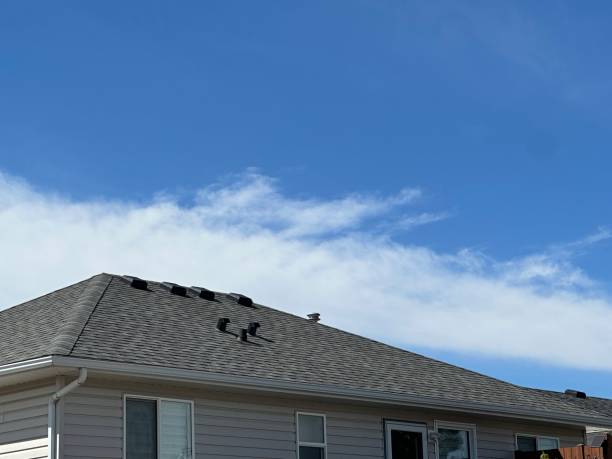 Roof Coating Services in Innovation, VA
